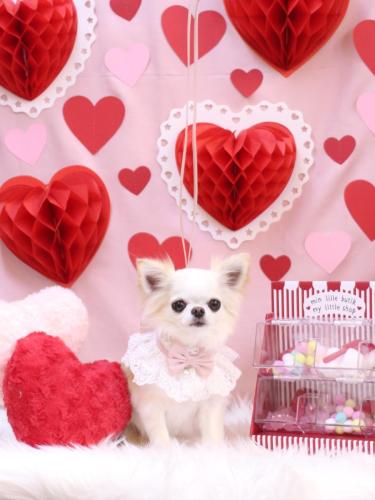 20240203Ricoちゃん 